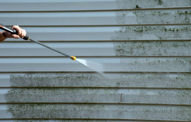Best Residential Mold Removal  in Dayton, TX